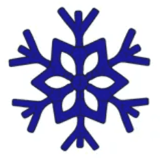 Blue snowflake logo representing uniqueness